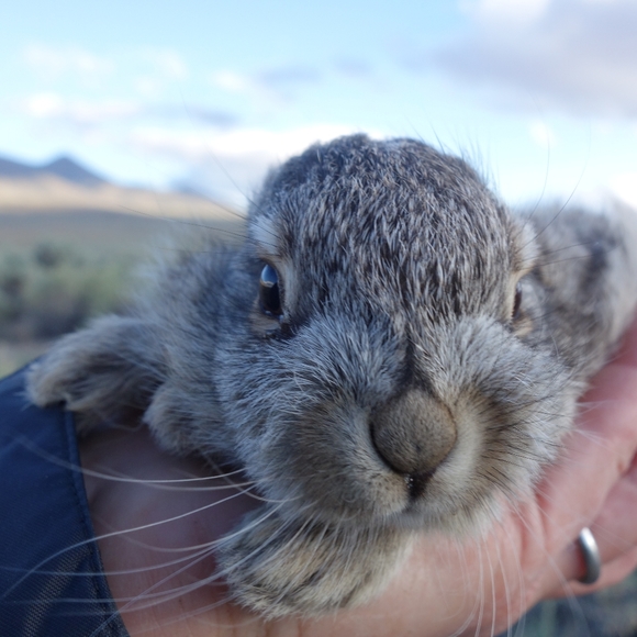 Meet your Posher, Melonie - Picture 6 of 16